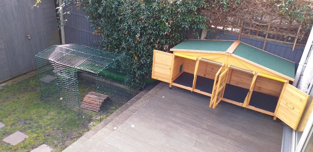 rspca approved rabbit hutches